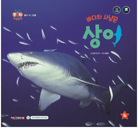 大海猎手鲨鱼