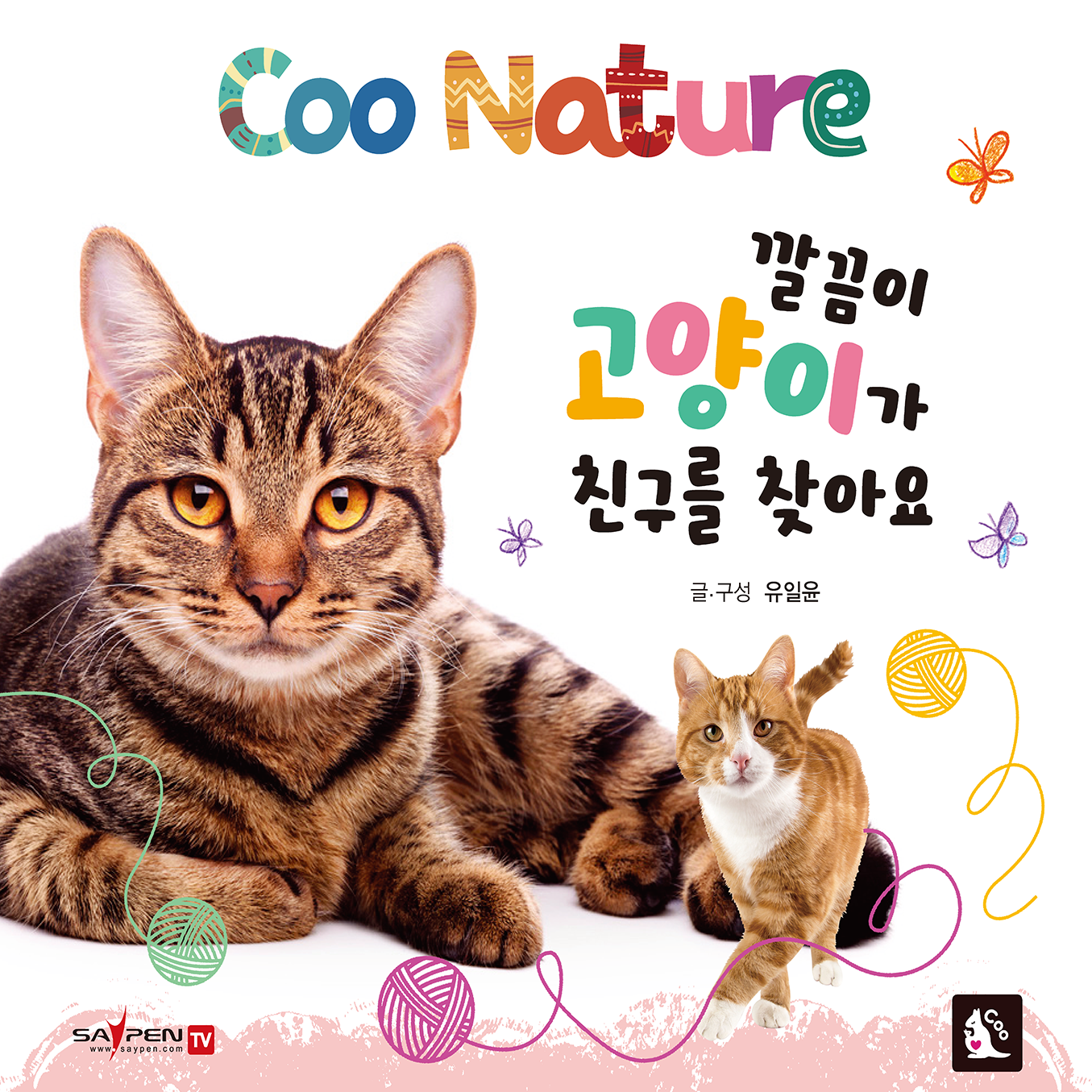 爱干净的猫在找朋友