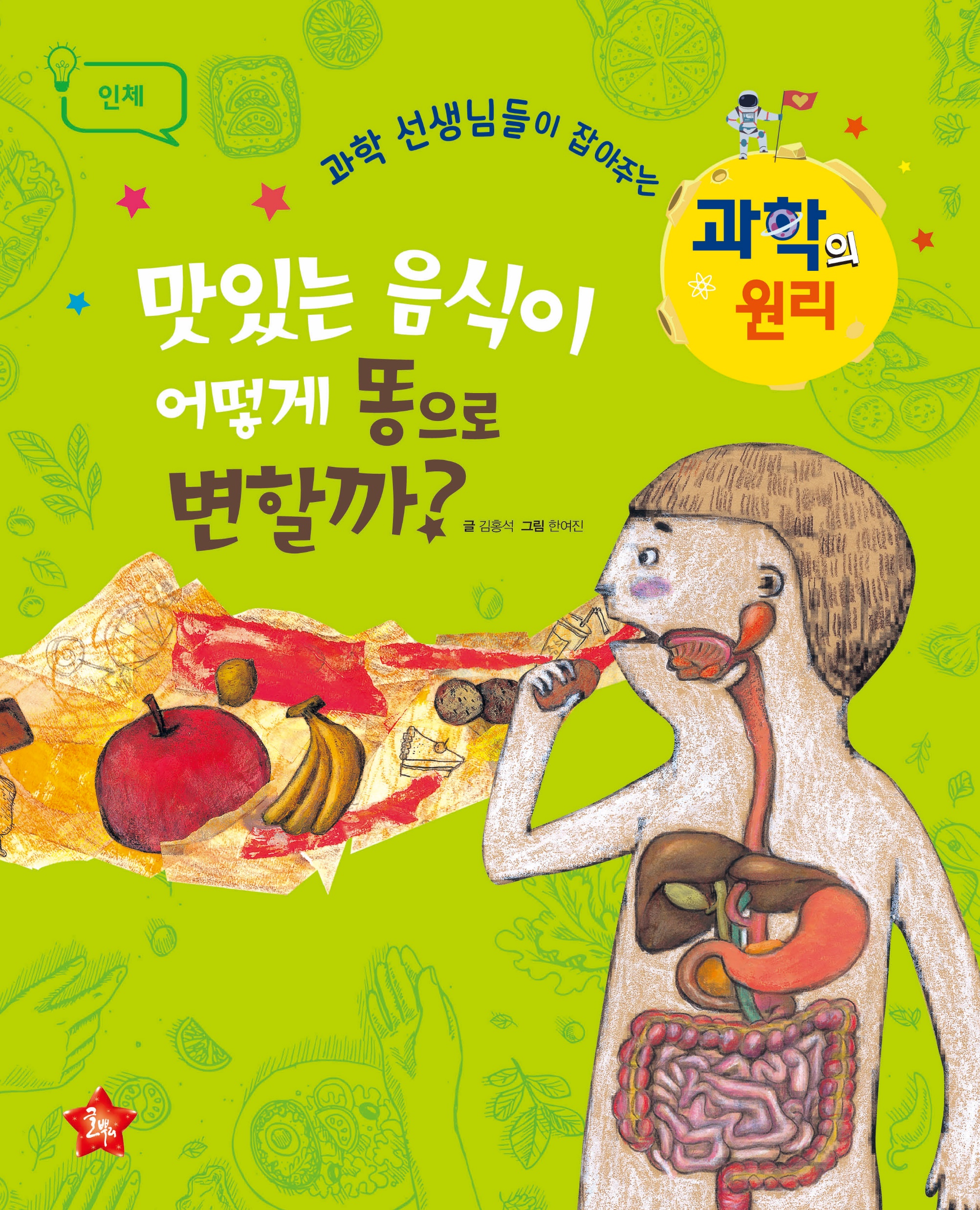 美味食物怎样变成便便？