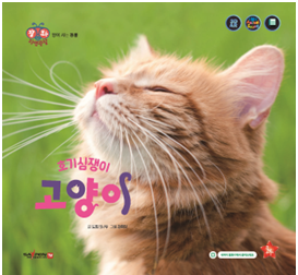 好奇的猫